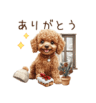 家族連絡用トイプードルのスタンプ（冬）（個別スタンプ：21）