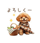 家族連絡用トイプードルのスタンプ（冬）（個別スタンプ：23）