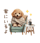家族連絡用トイプードルのスタンプ（冬）（個別スタンプ：26）