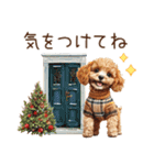家族連絡用トイプードルのスタンプ（冬）（個別スタンプ：28）