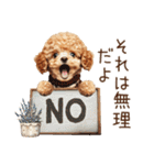家族連絡用トイプードルのスタンプ（冬）（個別スタンプ：31）