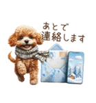 家族連絡用トイプードルのスタンプ（冬）（個別スタンプ：34）