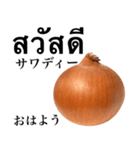 国産玉ねぎ【タイ語】（個別スタンプ：1）
