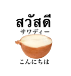 国産玉ねぎ【タイ語】（個別スタンプ：2）