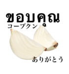 国産玉ねぎ【タイ語】（個別スタンプ：4）