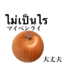 国産玉ねぎ【タイ語】（個別スタンプ：5）