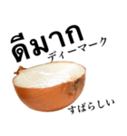 国産玉ねぎ【タイ語】（個別スタンプ：7）