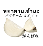 国産玉ねぎ【タイ語】（個別スタンプ：9）