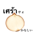 国産玉ねぎ【タイ語】（個別スタンプ：12）