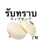 国産玉ねぎ【タイ語】（個別スタンプ：13）