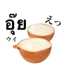 国産玉ねぎ【タイ語】（個別スタンプ：16）