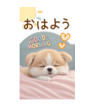 可愛い犬たち カラフルニット帽 使える BIG（個別スタンプ：1）