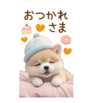 可愛い犬たち カラフルニット帽 使える BIG（個別スタンプ：11）