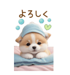 可愛い犬たち カラフルニット帽 使える BIG（個別スタンプ：16）