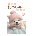 可愛い犬たち カラフルニット帽 使える BIG（個別スタンプ：23）