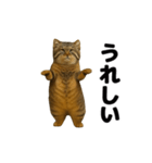 おどる！マヌルネコ（個別スタンプ：8）