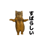 おどる！マヌルネコ（個別スタンプ：9）