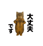 おどる！マヌルネコ（個別スタンプ：10）