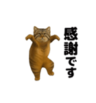 おどる！マヌルネコ（個別スタンプ：14）