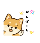 シバ犬デカ文字普段使える誰でもスタンプ（個別スタンプ：1）