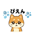 シバ犬デカ文字普段使える誰でもスタンプ（個別スタンプ：3）
