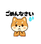 シバ犬デカ文字普段使える誰でもスタンプ（個別スタンプ：4）