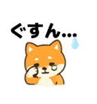シバ犬デカ文字普段使える誰でもスタンプ（個別スタンプ：5）
