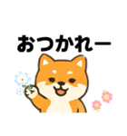 シバ犬デカ文字普段使える誰でもスタンプ（個別スタンプ：6）