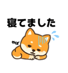 シバ犬デカ文字普段使える誰でもスタンプ（個別スタンプ：11）