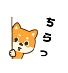 シバ犬デカ文字普段使える誰でもスタンプ（個別スタンプ：13）