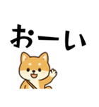 シバ犬デカ文字普段使える誰でもスタンプ（個別スタンプ：14）
