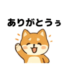 シバ犬デカ文字普段使える誰でもスタンプ（個別スタンプ：16）