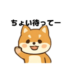 シバ犬デカ文字普段使える誰でもスタンプ（個別スタンプ：17）