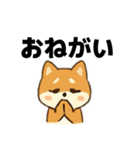 シバ犬デカ文字普段使える誰でもスタンプ（個別スタンプ：19）
