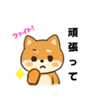 シバ犬デカ文字普段使える誰でもスタンプ（個別スタンプ：20）