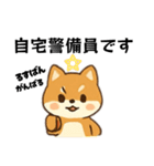 シバ犬デカ文字普段使える誰でもスタンプ（個別スタンプ：21）