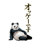 <BIG>だらしない動物《使用難易度★★★》（個別スタンプ：1）