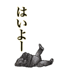 <BIG>だらしない動物《使用難易度★★★》（個別スタンプ：3）