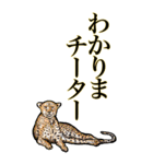 <BIG>だらしない動物《使用難易度★★★》（個別スタンプ：4）