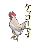 <BIG>だらしない動物《使用難易度★★★》（個別スタンプ：5）