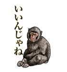 <BIG>だらしない動物《使用難易度★★★》（個別スタンプ：9）