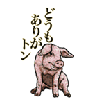 <BIG>だらしない動物《使用難易度★★★》（個別スタンプ：13）