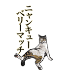 <BIG>だらしない動物《使用難易度★★★》（個別スタンプ：14）