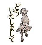 <BIG>だらしない動物《使用難易度★★★》（個別スタンプ：15）