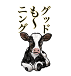 <BIG>だらしない動物《使用難易度★★★》（個別スタンプ：17）