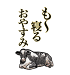 <BIG>だらしない動物《使用難易度★★★》（個別スタンプ：18）