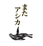 <BIG>だらしない動物《使用難易度★★★》（個別スタンプ：19）