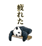 <BIG>だらしない動物《使用難易度★★★》（個別スタンプ：20）