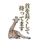 <BIG>だらしない動物《使用難易度★★★》（個別スタンプ：22）