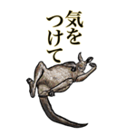 <BIG>だらしない動物《使用難易度★★★》（個別スタンプ：23）